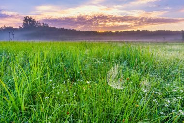 Gündoğumu, el değmemiş vahşi çayır ile sakin ve huzurlu yer