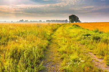 Lehçe alanında büyülü sabah.