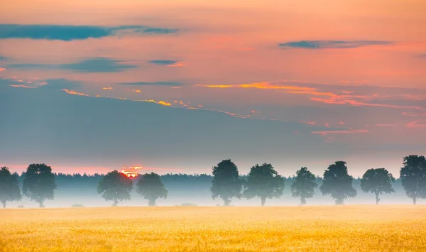 Magical morning on polish field. — Stock Photo, Image