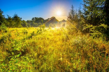 Sabah sisli çayır manzara Lehçe kırsal kesimde