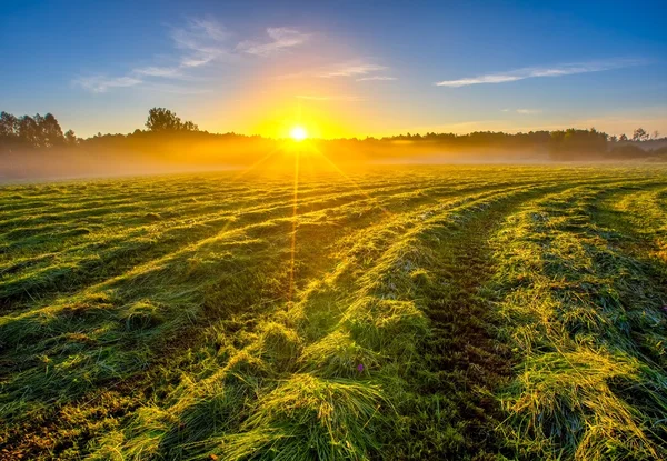 Paisaje del prado nebuloso de la mañana en el campo polaco — Foto de Stock