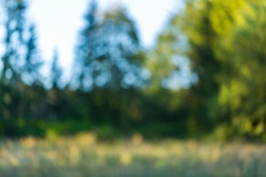 Renkli doğa bokeh arka plan bulanık