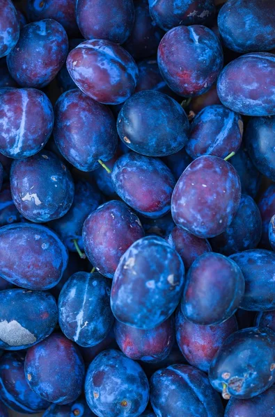 Blauwe pruimen achtergrond. Vers fruit. — Stockfoto