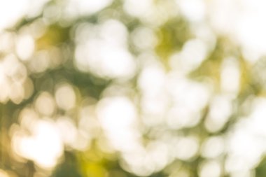 Renkli doğa bokeh arka plan bulanık