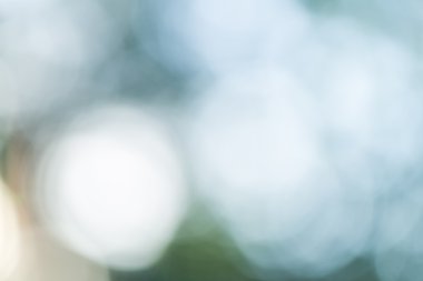 Renkli doğa bokeh arka plan bulanık