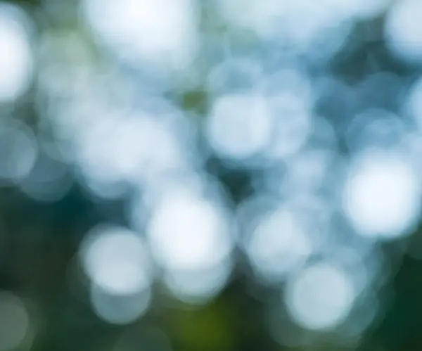 Colorful nature bokeh background blurred — Stock Photo, Image