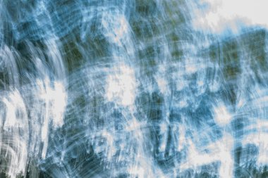 Doğal orman bulanık soyutlama.