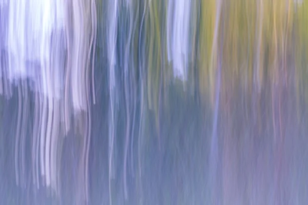 Abstraction floue de la forêt naturelle . — Photo