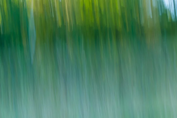 Abstraction floue de la forêt naturelle . — Photo