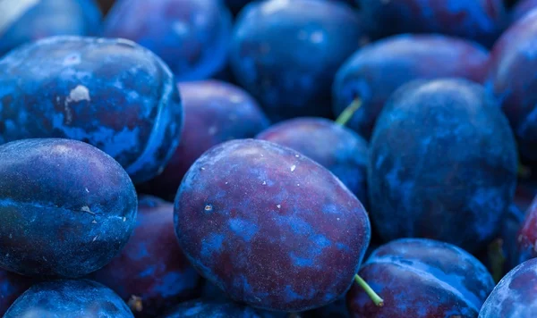 Blauwe pruimen achtergrond. Vers fruit. — Stockfoto