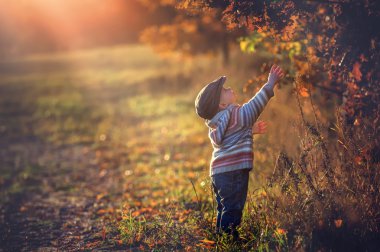 Sonbahar sahne açık oynayan çocuk.