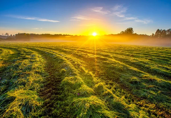 Paisaje del prado nebuloso de la mañana en el campo polaco — Foto de Stock