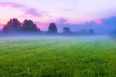 Sisli çayır güzel sabahı