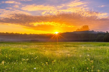 Sisli çayır güzel sabahı