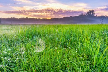 Gündoğumu, el değmemiş vahşi çayır ile sakin ve huzurlu yer