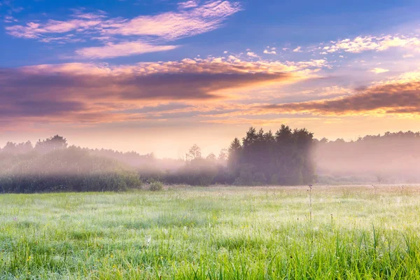 Paisaje vibrante con prado brumoso en Polonia —  Fotos de Stock