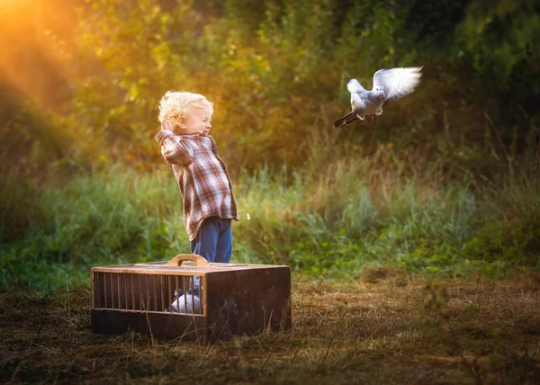 Küçük Güvercin meraklısı. Güvercinler uçan ile oynayan çocuk.
