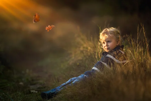 Menino brincando ao ar livre em cenário de outono. Feliz 3 anos de idade caucasiano menino . — Fotografia de Stock