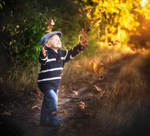 Хлопчик грає на відкритому повітрі в осінніх пейзажах. Щасливий 3 річний кавказький хлопчик . — стокове фото