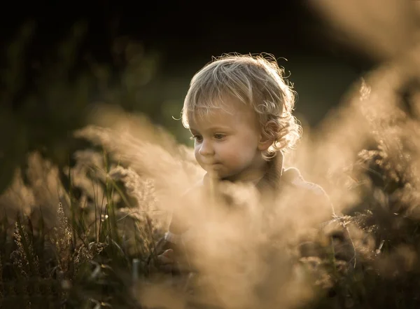 秋の風景の屋外弾いている少年。幸せな 3 歳の白人少年. — ストック写真
