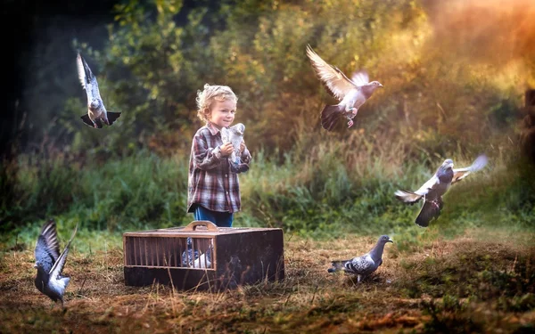 Kleine duif liefhebber. Jongen spelen met vliegende duiven. Rechtenvrije Stockfoto's