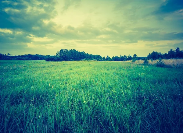 Jahrgangsfoto der Sommerwiese am Nachmittag — Stockfoto