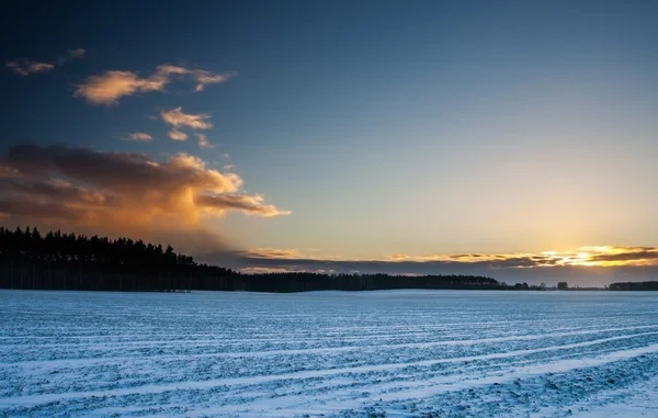 Zimowy pejzaż pole o zachodzie słońca — Zdjęcie stockowe
