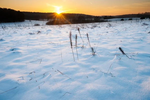 Zimowy pejzaż pole o zachodzie słońca — Zdjęcie stockowe