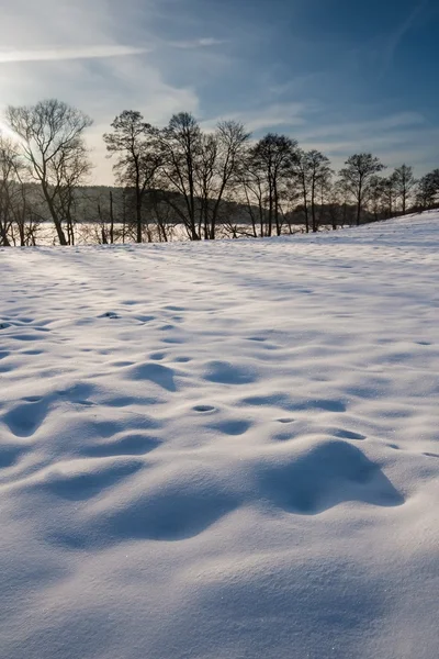 Campo de invierno paisaje al atardecer — Foto de Stock