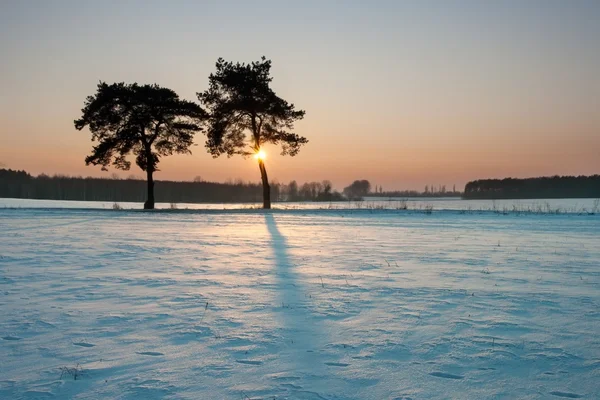 Winter veld landschap bij zonsondergang — Stockfoto