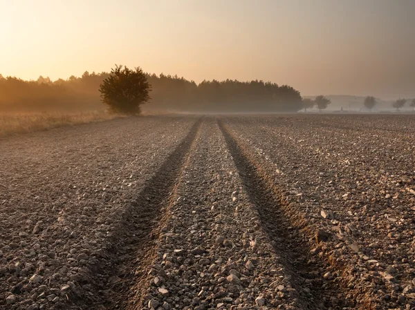 Plöjde fältet landskap — Stockfoto