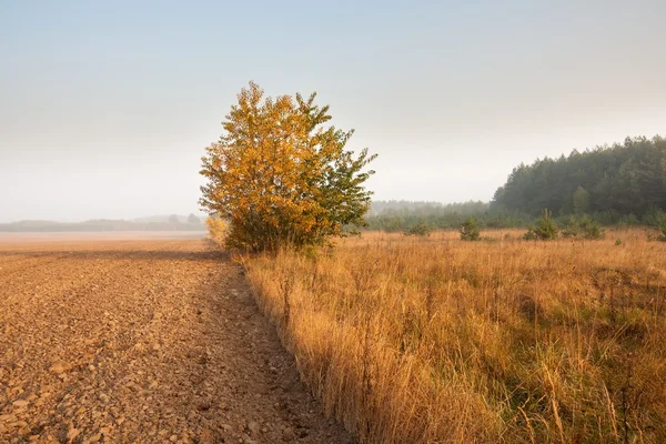 Geploegd veld landschap — Stockfoto