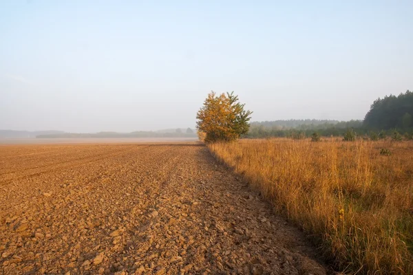 Balen hooi in zonsopgang licht — Stockfoto