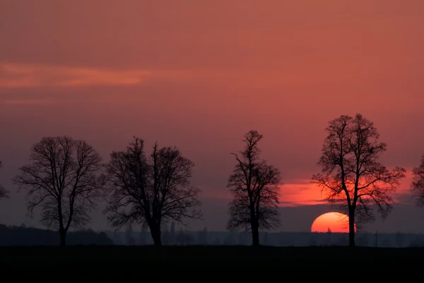 Puesta de sol sobre campo rural — Foto de Stock