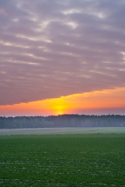 Solnedgång över landsbygdens fält — Stockfoto