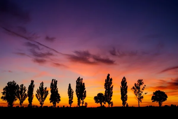 Zonsondergang over landelijke veld — Stockfoto