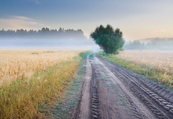 Sandy landelijke weg in landschap — Stockfoto