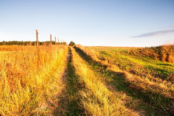 Sandy rural road in landscape — Stock Photo, Image