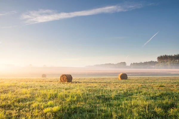 Bales of hay in sunrise light — Stock Photo, Image