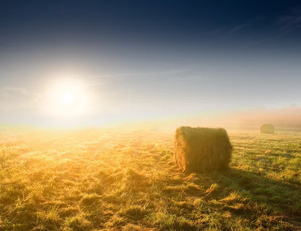 Котлы сена в лучах восхода солнца — стоковое фото