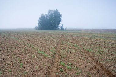 sürülmüş alan manzara