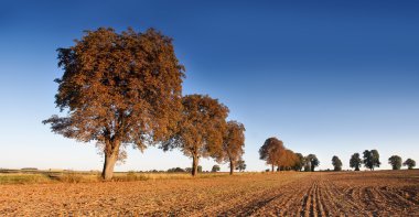 sürülmüş alan manzara
