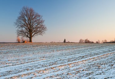 Gün batımında kış alan manzara