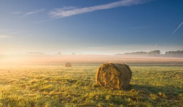 Fardos de heno en la luz del amanecer — Foto de Stock