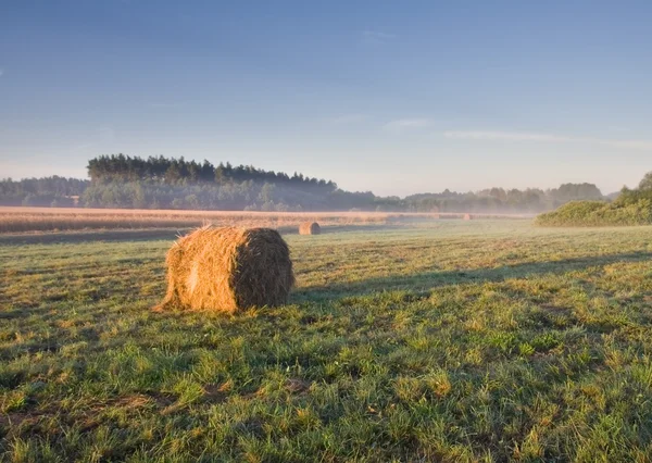 Balíky sena ve světle svítání — Stock fotografie