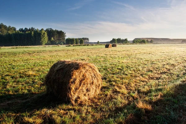 Balles de foin au lever du soleil — Photo