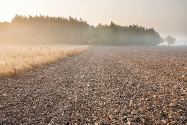 Balen hooi in zonsopgang licht — Stockfoto