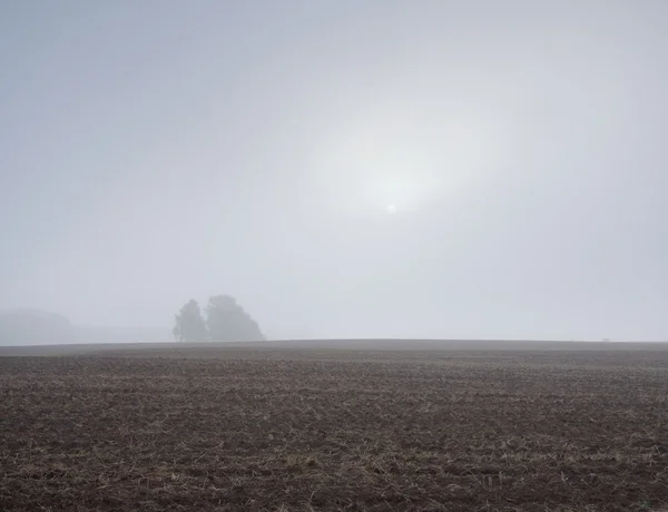 Zaorane pole krajobraz — Zdjęcie stockowe