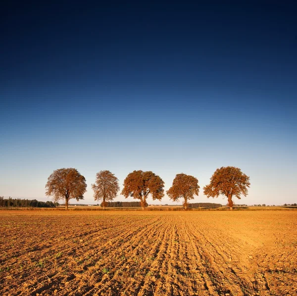 Ackerlandschaft gepflügt — Stockfoto