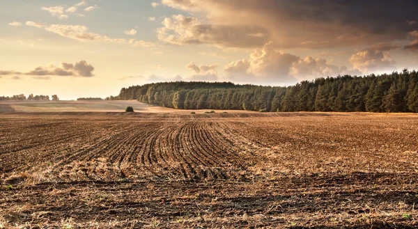 Plowed field landscape — Stock Photo, Image